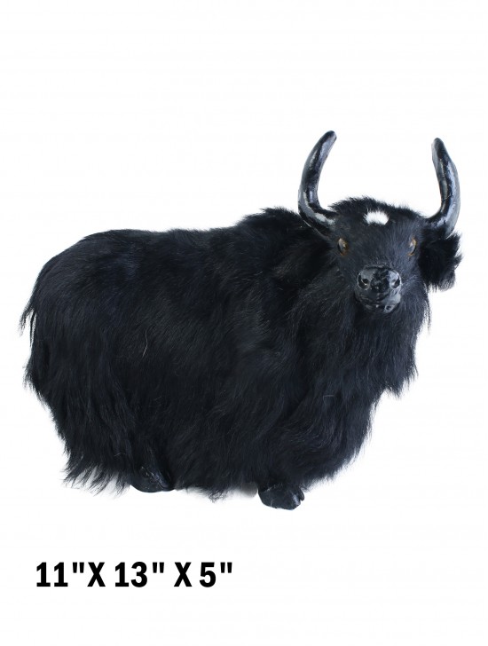 Yak